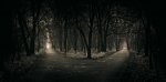 freedom_of_choice_by_wiciaq_d1bs0vd-fullview.jpg