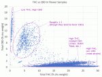 Animation for 2-to-1 THC vs CBD Ratio .GiF