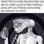 11535
