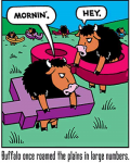 11804