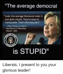 the-average-democrat-look-the-average-democrat-voter-is-just-5076284.png