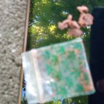 IMG_20190622_173609.jpg