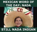 elizabethwarren-indian.jpg