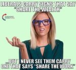 liberals-carry-signs-that-say-share-the-wealth-but-never-share-the-work.jpg
