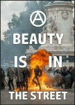 beauty-isin-the-street-acab-49885734.png