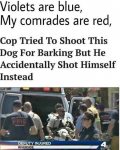 12636