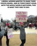 liberal-women-wanted-to-make-their-voices-heard-and-in-12827817 (2).jpg