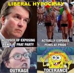 funnies-liberal-hypocrisy.jpg