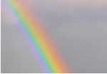 20190411_082132.png