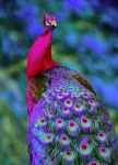 20190801_122413_64.png