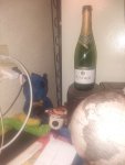20190803_064924_64.jpg