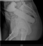 case 1a.PNG