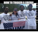 how-to-trigger-a-liberal-tromp-trump-trump-5254186.png