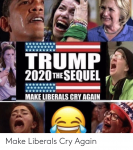 trump-2020-thesequel-make-liberals-cry-again-make-liberals-cry-58789597.png