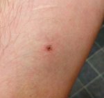 _20190903_203907.JPG