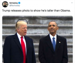 14491