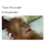 46744414_2219880778044928_2823327680085098496_n.png