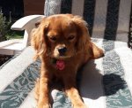 20191002_104245.jpg