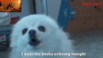 Screenshot_20191008-073457_YouTube.jpg