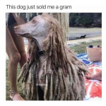 48383768_2260975087268830_9097839497231466496_n.png