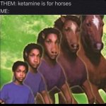 72527974_1381709555312259_1884606291997884416_n.jpg