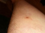 _20191024_142447.JPG