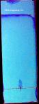 16201