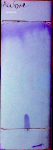 16203