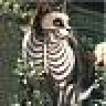 Sussurus
