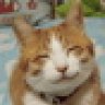 Optimal Cat