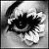 ButterflyEternity