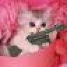 DeathKitty