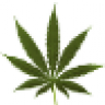 PurpleKushKid