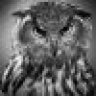 Wise_Owl