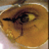 BeF