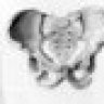 Skeleton19