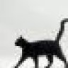 felixthecat23