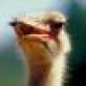 Emu Thurman