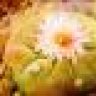 neuron charge