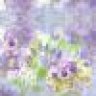 Random13646