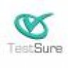 Testsure2014
