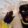 Hotestdoggy