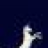 Lunachick