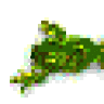 frog_e