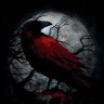 Texas Raven