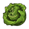 RoundLettuce