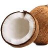 cordcoconut