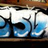 ESVI