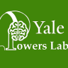 Yale Cannabis Study