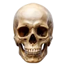 justmaxing